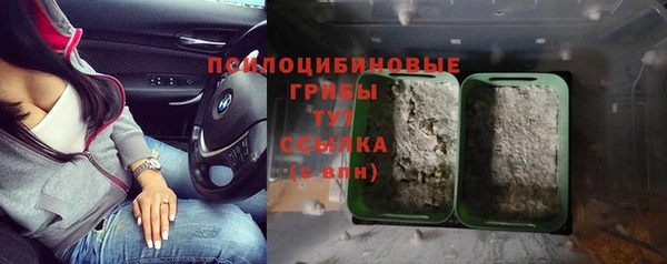 СК Волоколамск