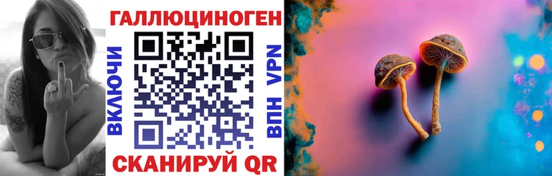 Галлюциногенные грибы Psilocybe  Вуктыл 
